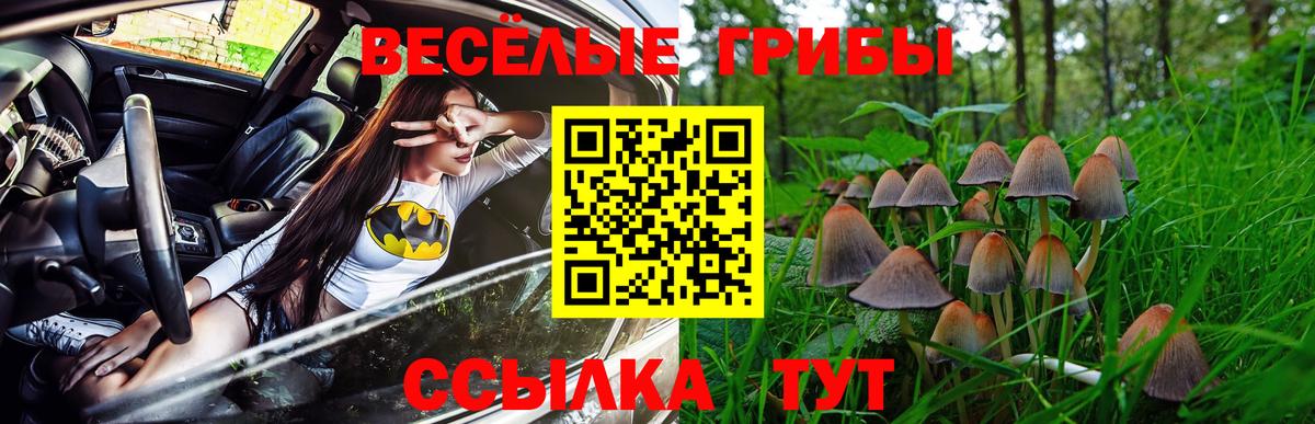 Вичуга  Галлюциногенные грибы мухоморы  Псилоцибиновые грибы мухоморы  Вход с VPN 