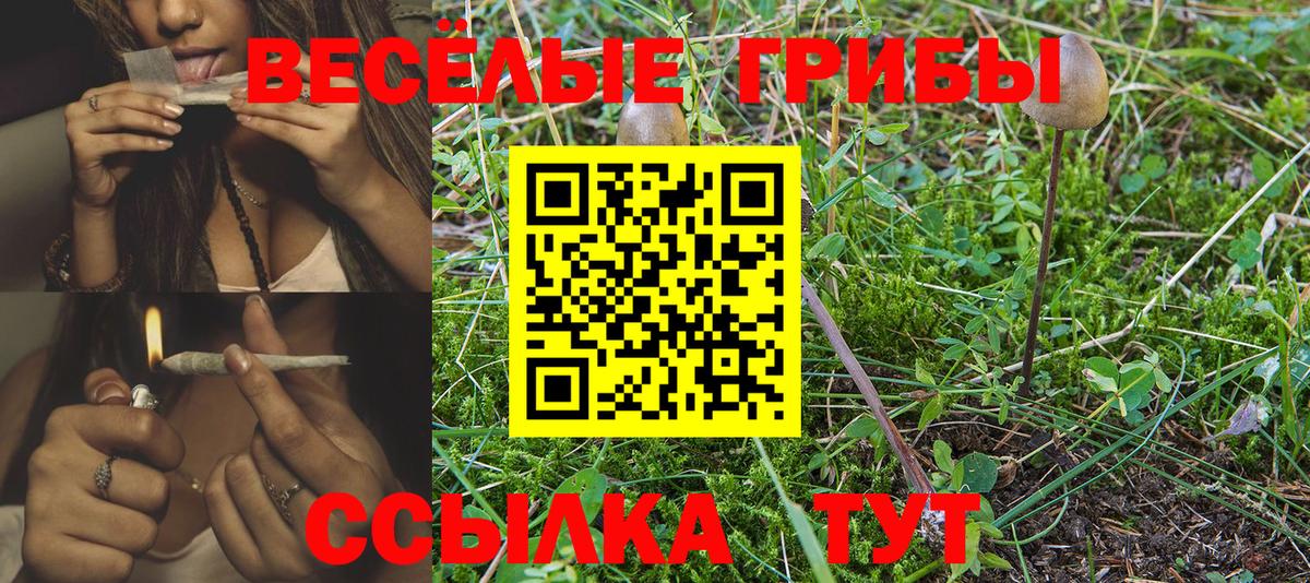 Псилоцибиновые грибы MAGIC MUSHROOMS Вичуга